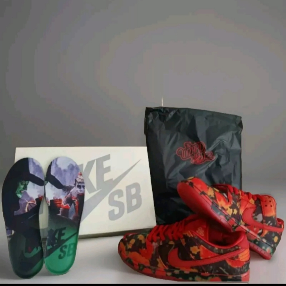 Nike SB Dunk Low x The Wizard of Oz Poppy Field Men's Size 9.5 FZ1291-600 - Picture 10 of 10